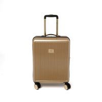 Dune London Olive Gold 55cm Cabin Suitcase